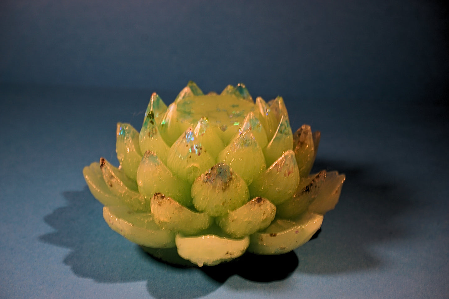 Dekorative Lotusblume