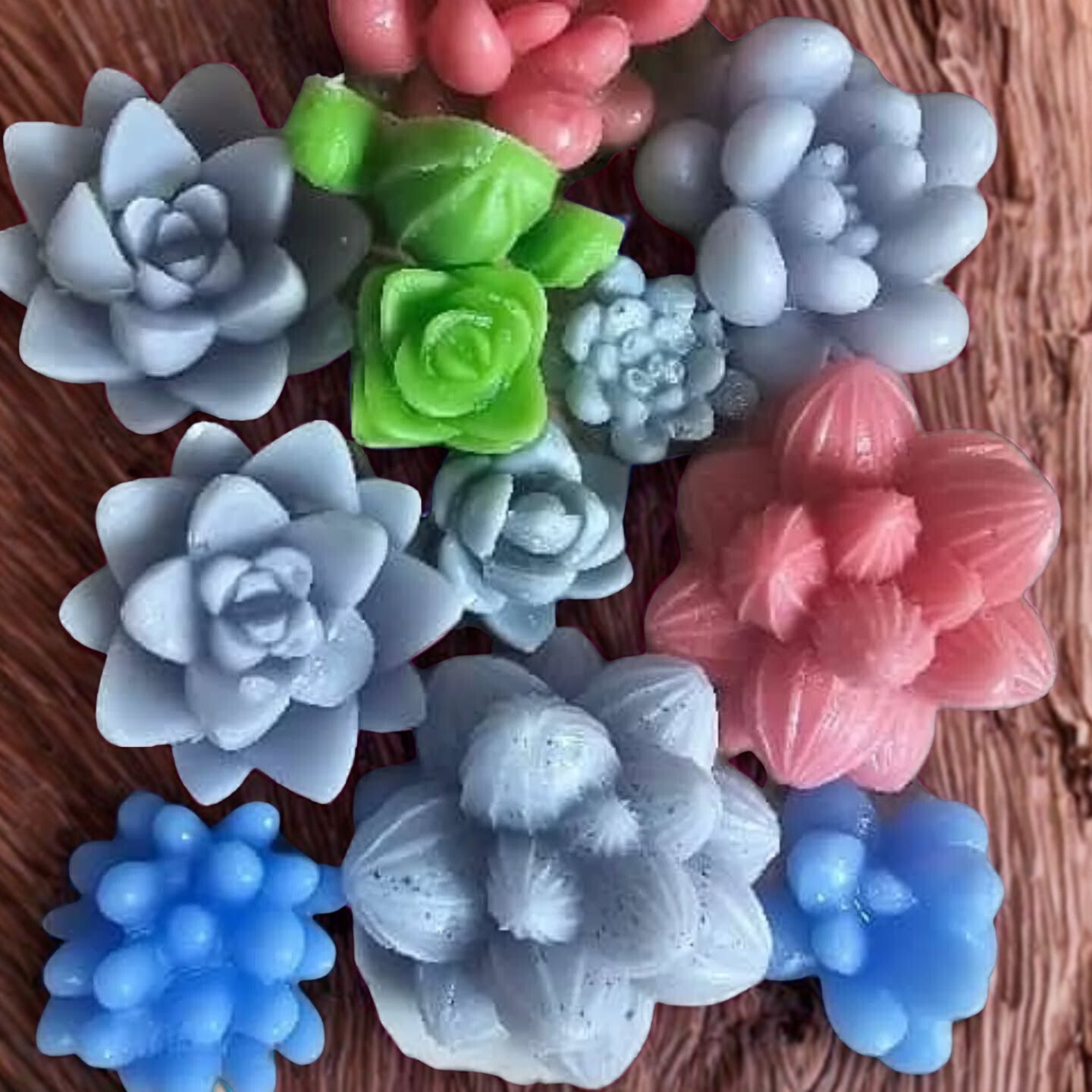 Florale & Sukkulenten-Dekorationen