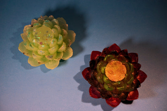 Dekorative Lotusblume